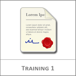 EisBaer - Training 1 - Individual on site plus travel costs and expenses